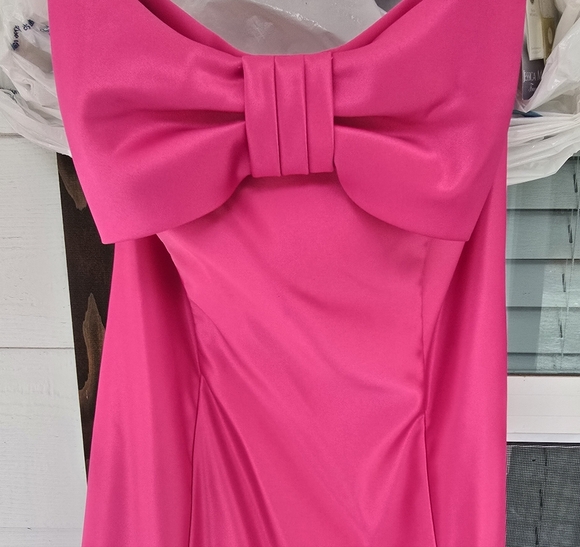 Jessica McClintock Pink Prom Dress - Picture 5 of 6